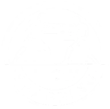 Flow Sparring